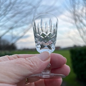 May include: A clear glass shot glass with a cut crystal design. The glass has a short stem and a small, round base.