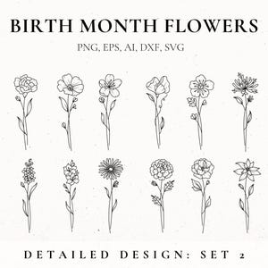 Op de afbeelding: Een set van 12 zwart-witte lijntekeningen van bloemen, die de geboortemaandsbloemen voorstellen. De bloemen zijn gerangschikt in twee rijen van zes. De tekst "BIRTH MONTH FLOWERS" en "DETAILED DESIGN: SET 2" is in de afbeelding opgenomen.