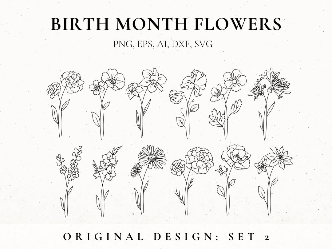 Birth Month Flower Svg Bundle, Fine Line Flower, Flower Stencil, Floral ...