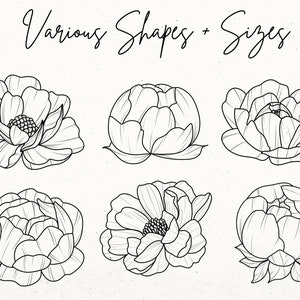 100 Peony Stamps Procreate, Procreate Floral Stamps, Flower Tattoo ...