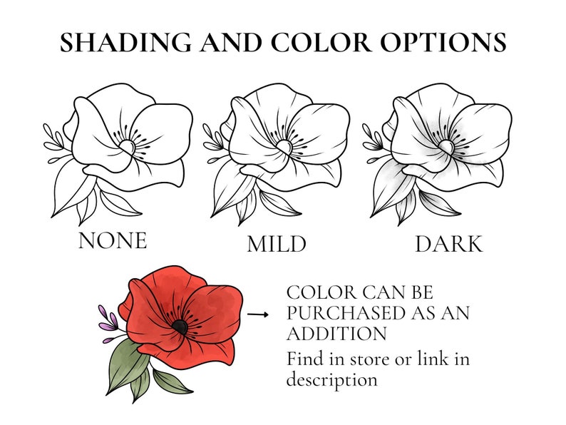 May include: Three line drawings of a flower with different shading options: none, mild, and dark. A colored version of the flower is shown with the text "Color can be purchased as an addition. Find in store or link in description."