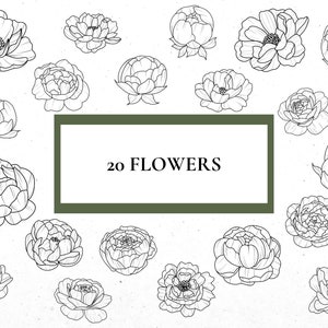 100 Peony Stamps Procreate, Procreate Floral Stamps, Flower Tattoo ...