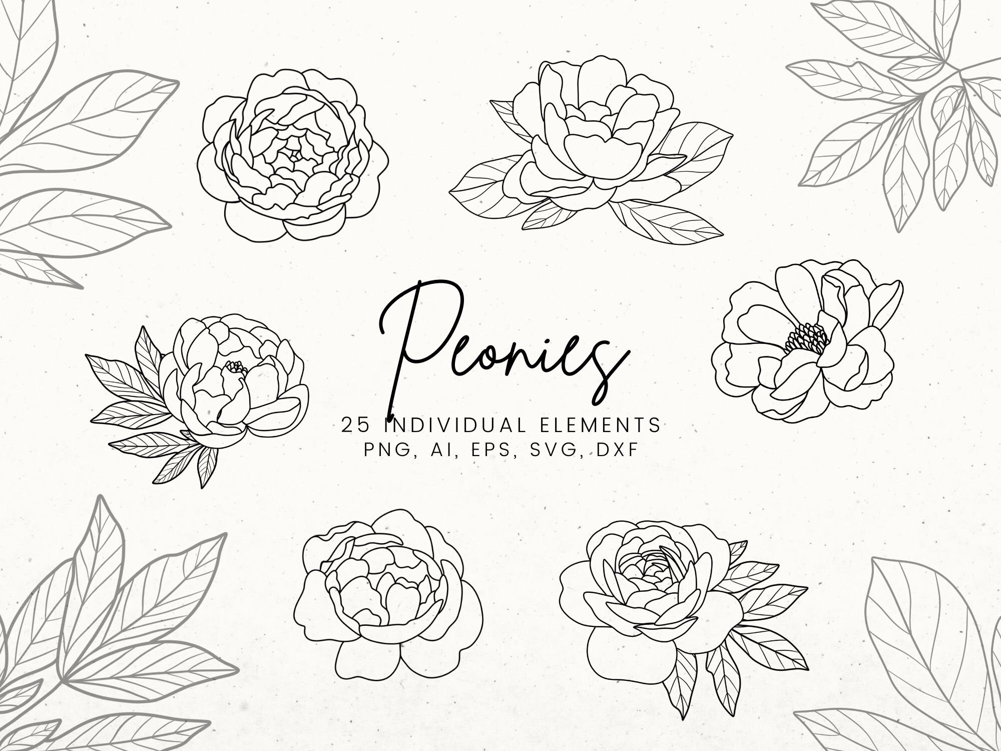 Peonies Svg Flower Svg Bundle Flower Stencil Flower T vrogue.co