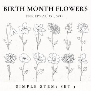 Paquete de flores del mes de nacimiento, flor de línea fina, plantilla de flores, diseño de tatuaje floral para mujeres, clip art de flores de nacimiento, SVG botánico, archivos