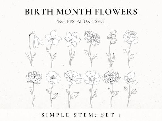 Birth Month Flower Svg Bundle, Fine Line Flower, Flower stencil, Floral Tattoo Design for women, Birth Flower Clip Art, Botanical SVG, Files