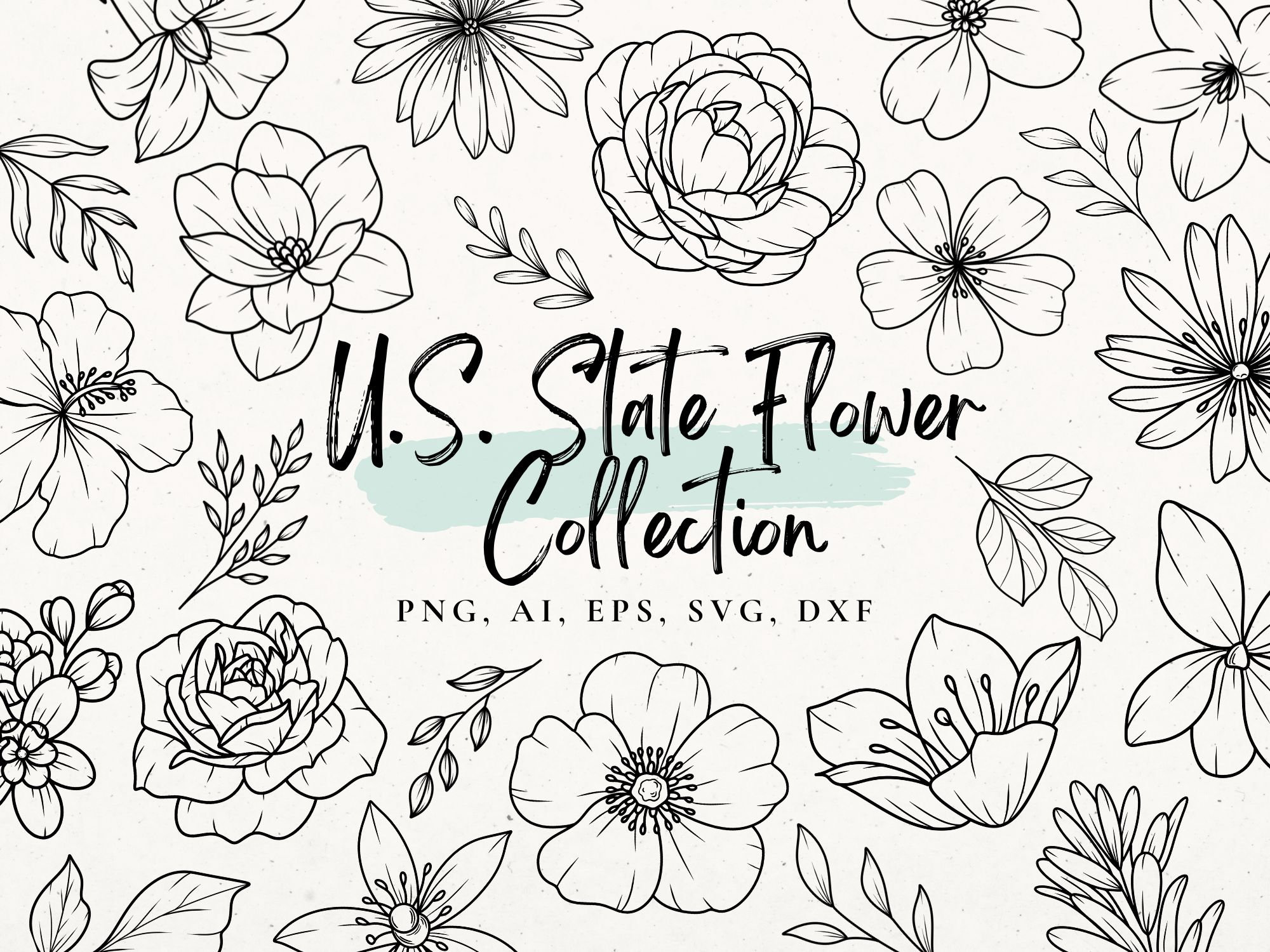 U.S. State Flower Svg Bundle, Flower stencil, Flower Tattoo Design, Floral Clip Art PNG, Wildflowers SVG file for Cricut, Flower Clip Art