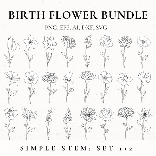 Bundle Svg fleur mois de naissance, fleur fine, pochoir fleur, conception de tatouage floral pour femme, clipart fleur de naissance, botanique SVG, fichiers