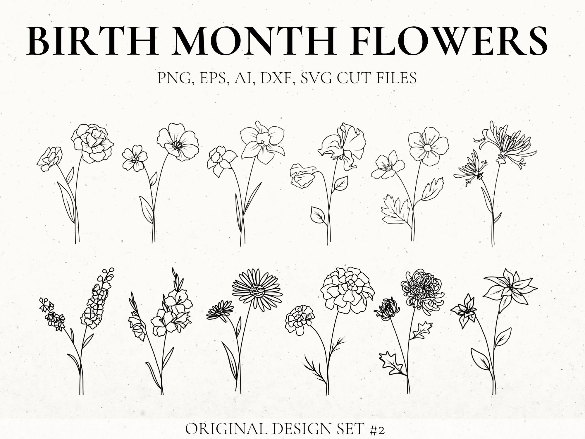 Birth Month Flower Svg Bundle Hand Drawn Flower Flower Etsy