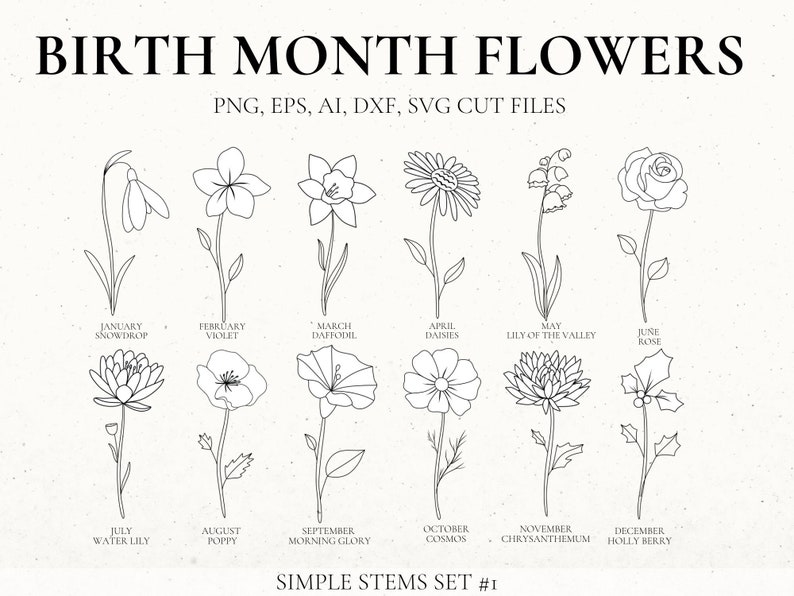 Birth Month Flower Svg Bundle Hand Drawn flower Flower | Etsy