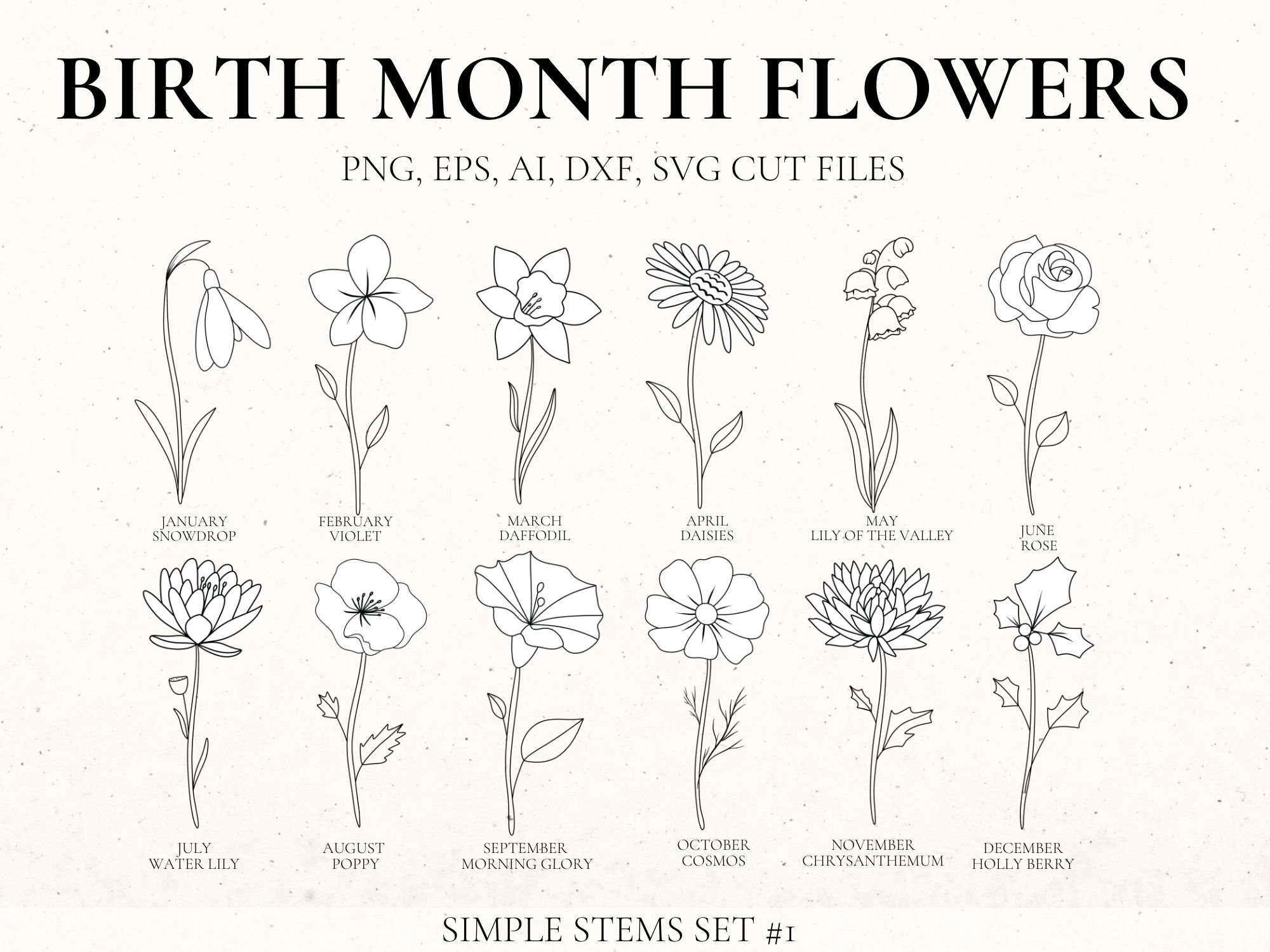 Birth Month Flower Svg Bundle Hand Drawn Flower Flower Etsy