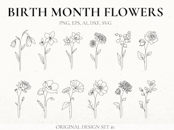 Birth Month Flower Svg Bundle Hand Drawn Flower Flower - Etsy