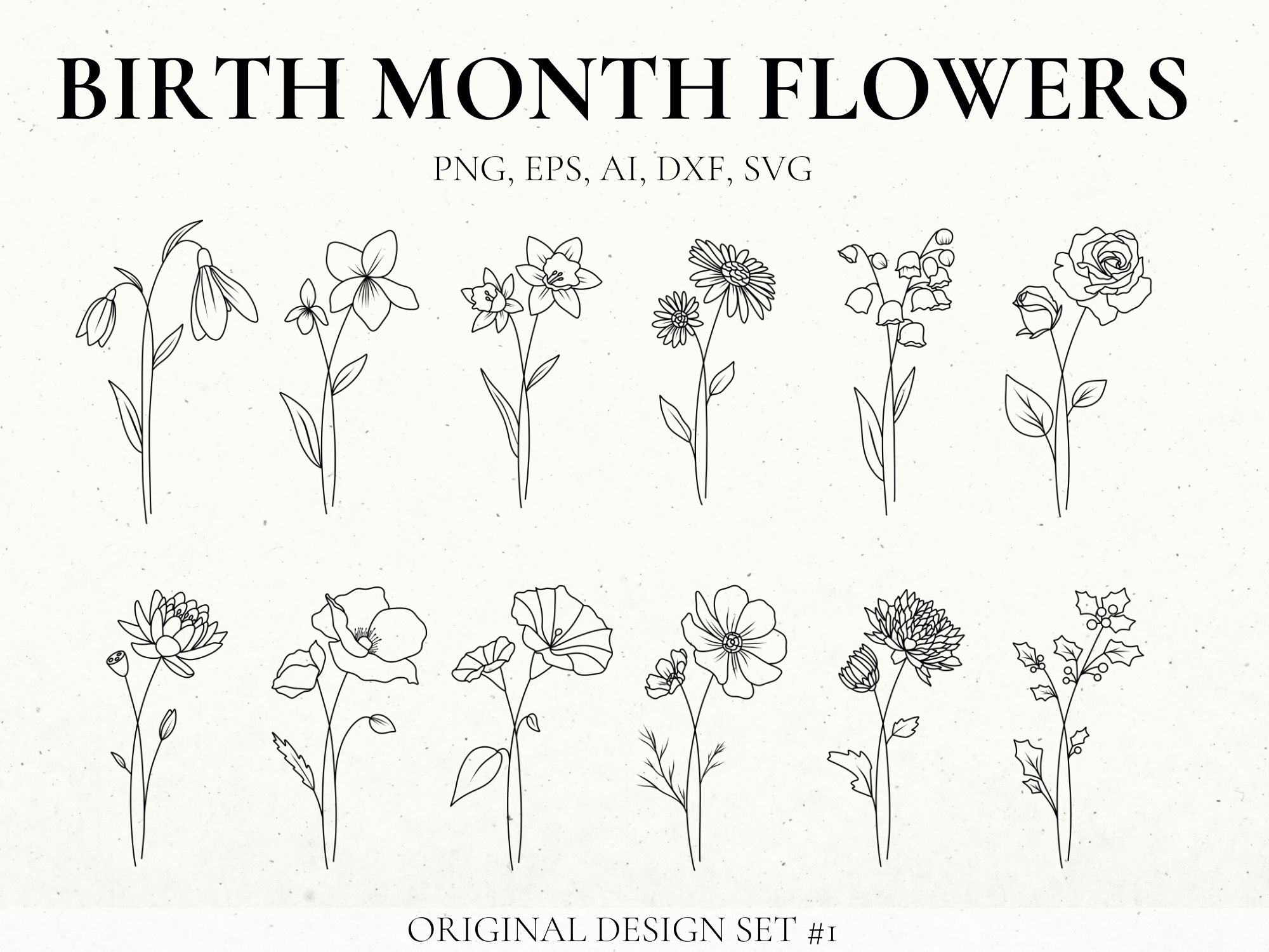 Birth Month Flower Svg Bundle Hand Drawn Flower Flower