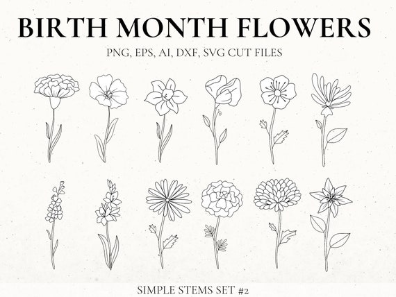 Birth Month Flower Svg Bundle Hand Drawn Flower Flower | Etsy Australia