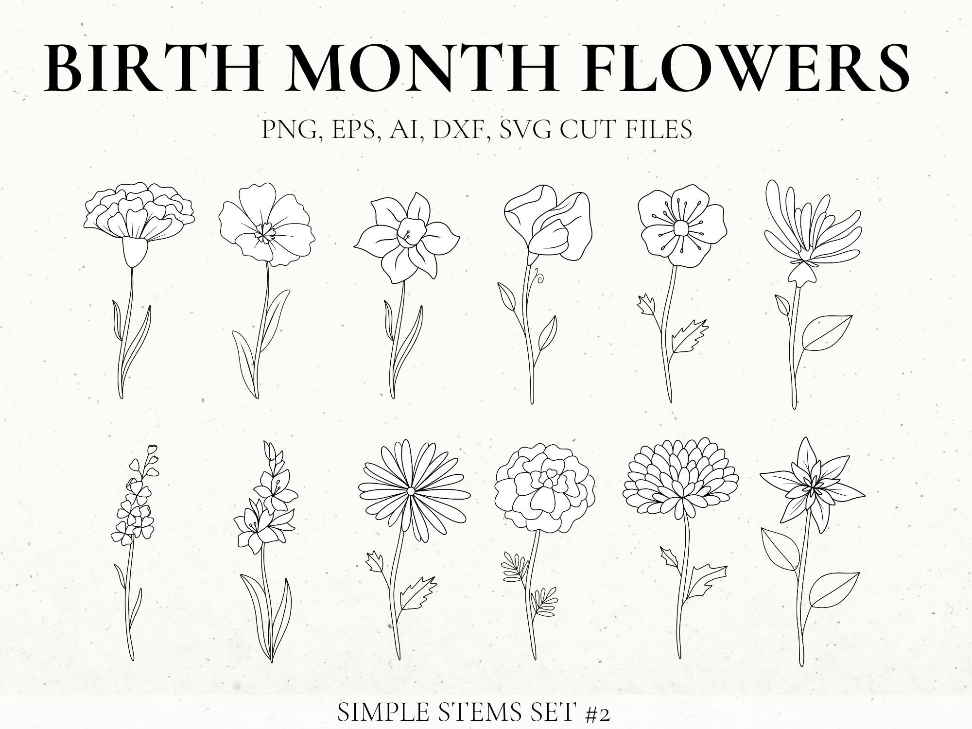 Digital Birth Month Flowers Svgwildflowerbirthday Flowerbundledxf