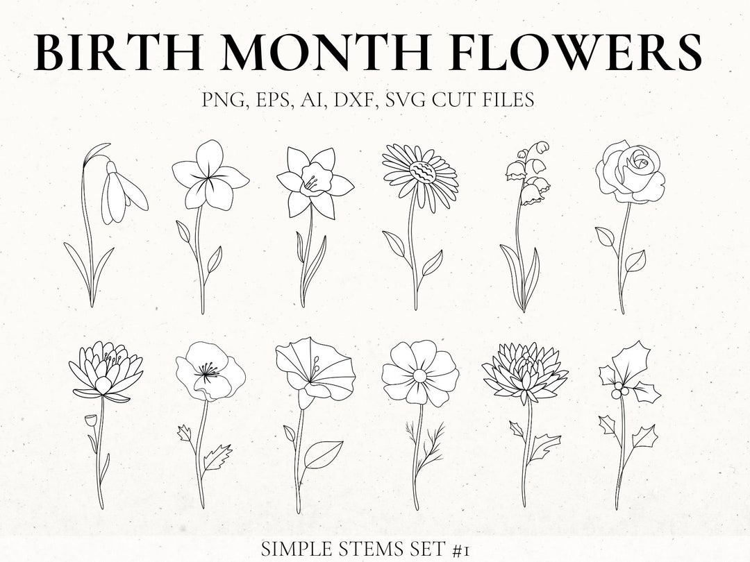 Set of flower silhouette vector illustrations. Snowdrop, daffodil, daisy,  rose, poppy, chrysanthemum, cosmos hand drawn monochrome sketch. Birth  month flowers for jewelry, tattoo, logo, wall arts. Stock Vector