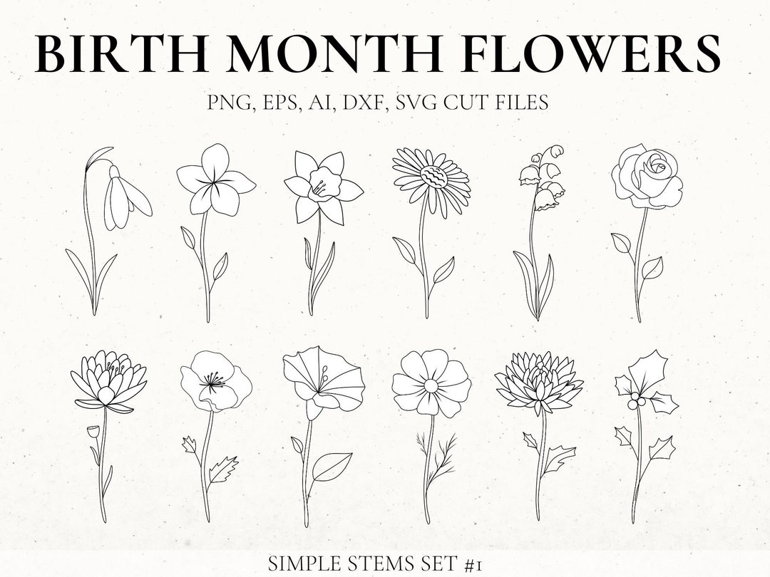 Birth Month Flower Svg Bundle, Hand Drawn Flower, Flower Stencil