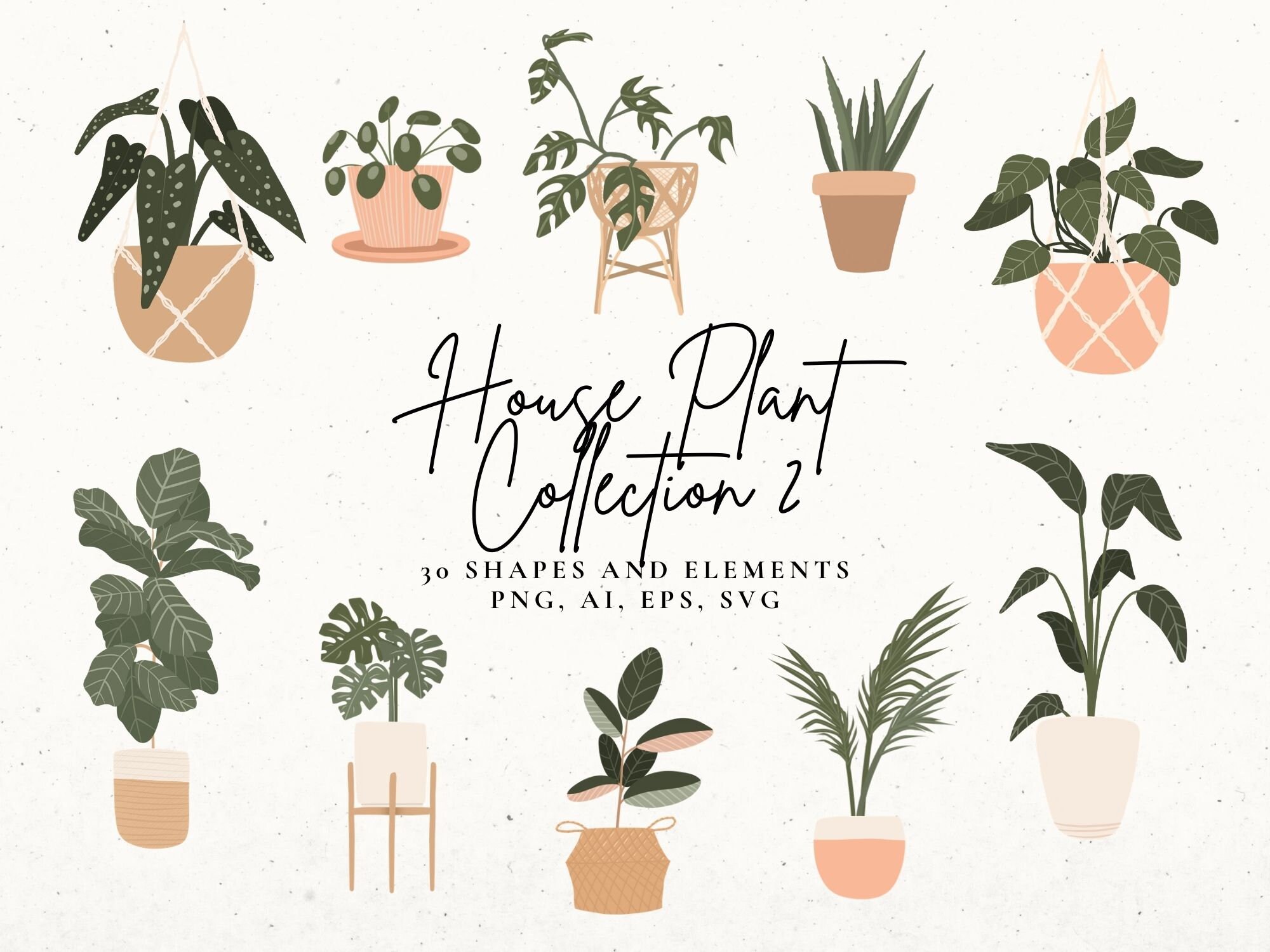 Indoor Plants SVG Bundle House Plant Clip Art Set Botanical Etsy