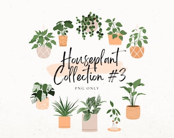May include: A collection of 10 illustrated houseplants in pots, with a pink background and the text "Houseplant Collection #3 PNG ONLY".
