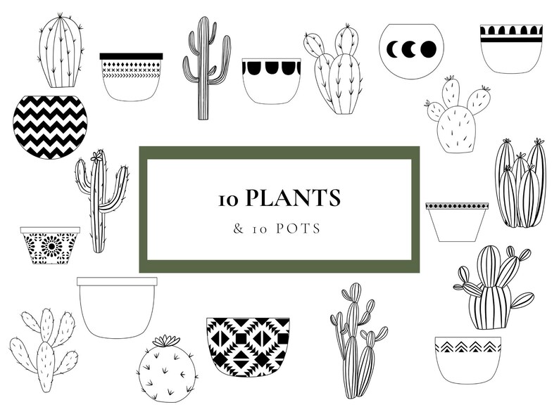 Cactus SVG Bundle Plants Clip Art Set Plant Illustration - Etsy