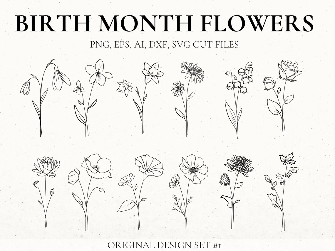 Birth Month Flower Svg Bundle Hand Drawn flower Flower Etsy