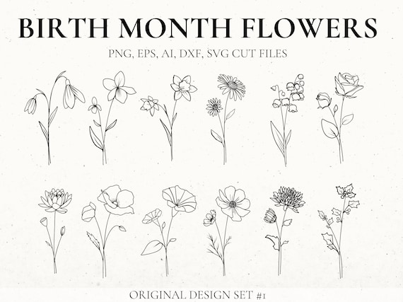 Birth Month Flower Svg Bundle Hand Drawn flower Flower | Etsy