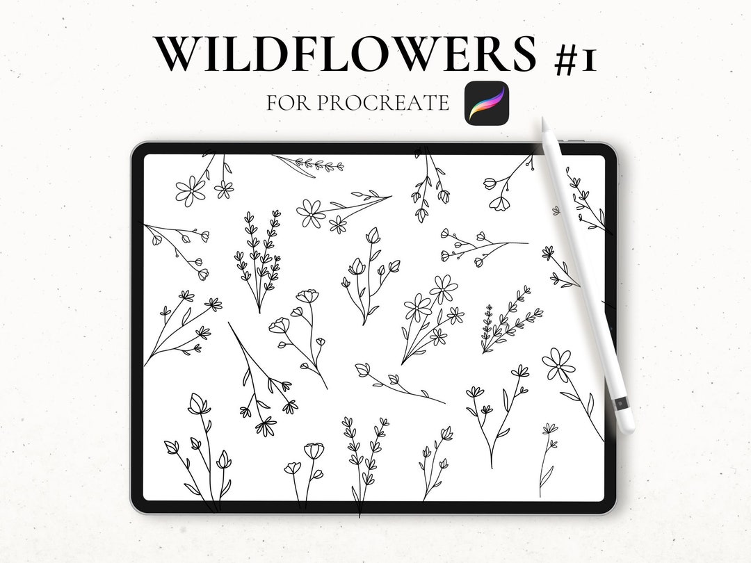 Procreate Stamp Brush, Wildflower Stencil, Procreate Botanical Stamps ...