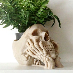 Happy Skull Horror Planter Unique Plant Pot, Witchy/Goth Decor Bedroom & Home image 4