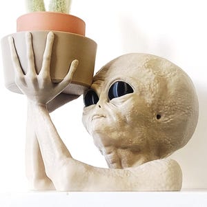 May include: A beige alien-shaped planter holding a terracotta pot with a small cactus. The alien has large black eyes and a detailed, textured surface. The planter is designed to hold small plants and adds a unique touch to home decor.