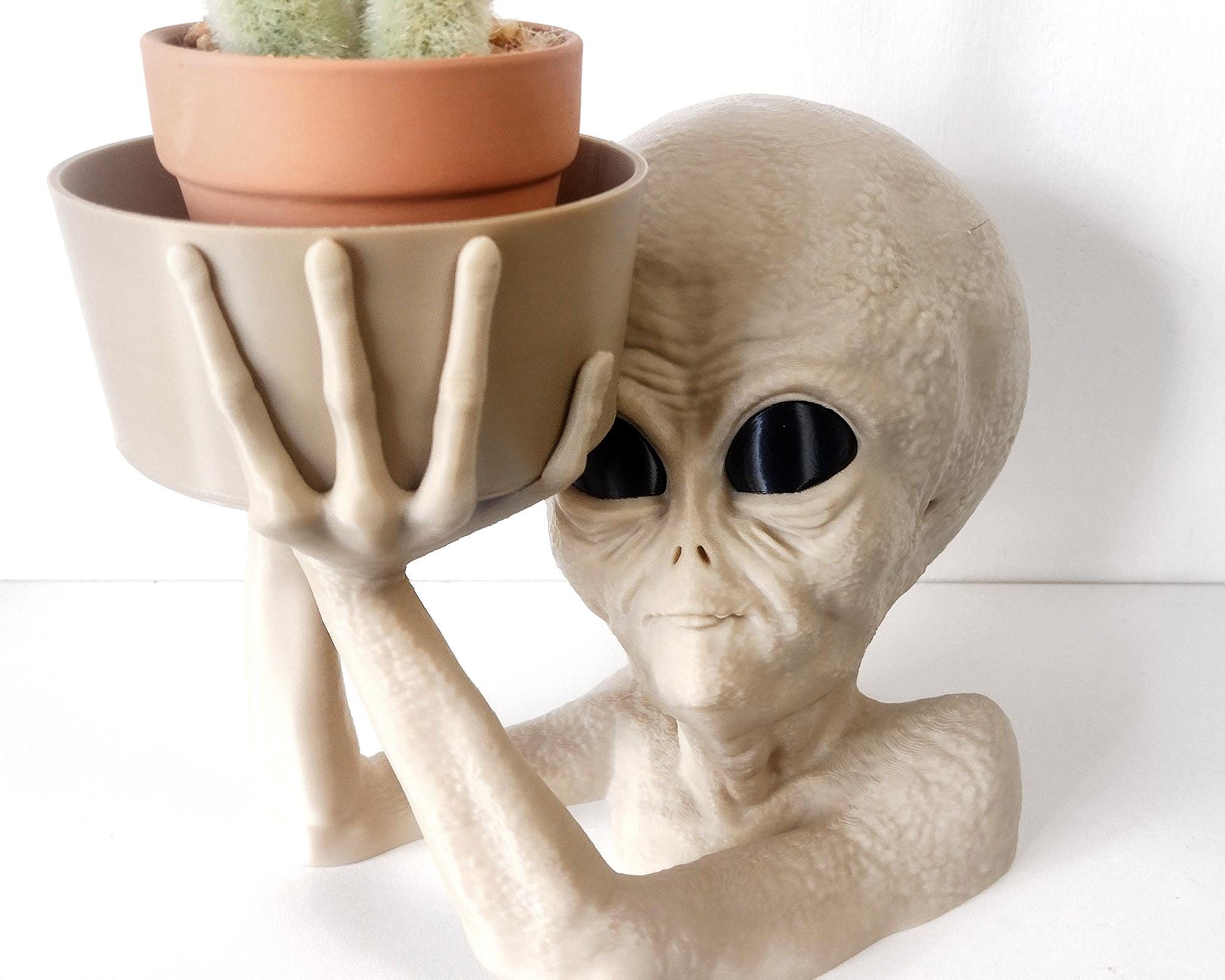 3D Printed Alien Planter: Quirky UFO Plant Pot - Bone White - Etsy
