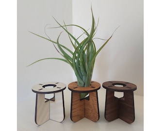 Wooden Air Plant Holders