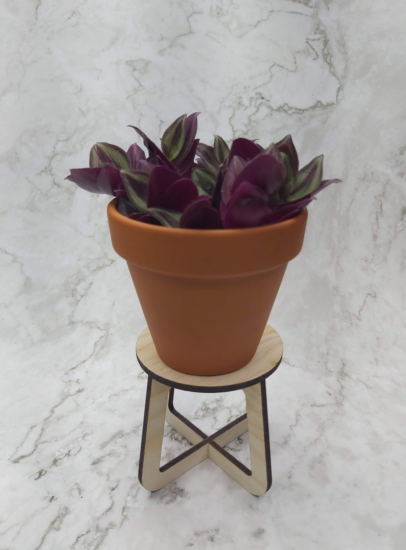 May include: A small terracotta pot filled with a Wandering Jew plant, featuring deep purple and green striped leaves. The pot sits on a small, natural wood-colored, laser-cut plant stand.