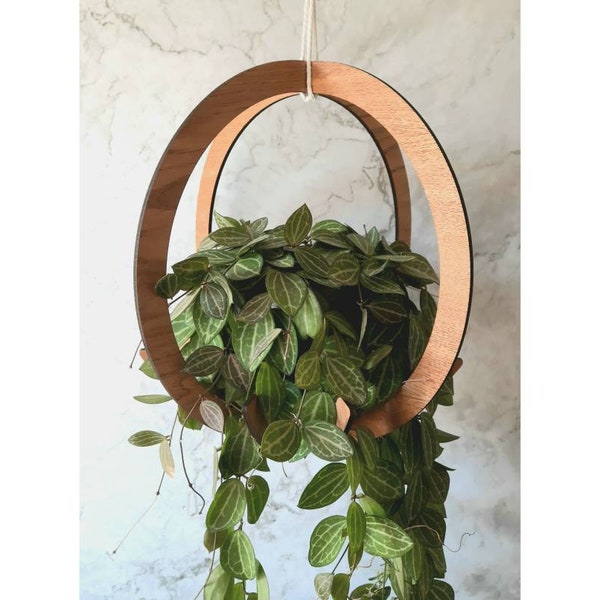 Wooden Circular Plant Hanger for Hanging/Trailing/Potted Plants - available in Ash/Oak/Walnut