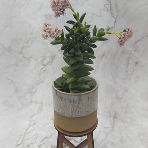 May include: A potted succulent plant with green leaves and small pink flowers. The plant is in a ceramic pot with a speckled white and tan finish, sitting on a small wooden stand. The background is a marble pattern.