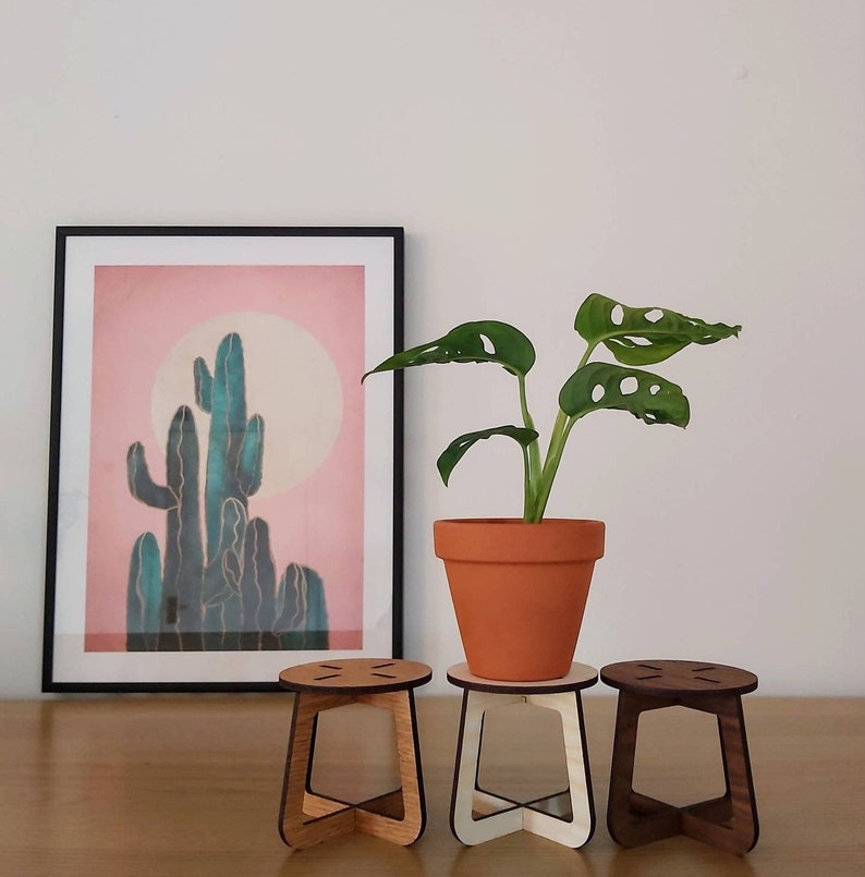 May include: A terracotta pot with a green plant sits on a small, white wooden plant stand. Two additional wooden stools, one light and one dark, are on either side. A framed print of a cactus with a pink background is in the background.