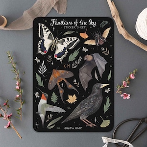Arkusz naklejek Familiars of the Sky | Naklejki Witch Animal Bird Bat | Naklejki Bujo Scrapbook | Naklejki Planner Bullet Journal