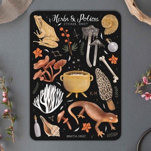 Stickervel Kruiden en drankjes | Fae Magic mystieke boekstickers | Bujo plakboekstickers | Stickers voor Bullet Journal-planners