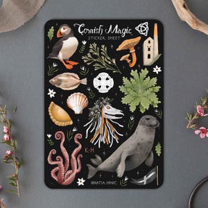 Cornish Magic Stickerbogen | Hexe Seehund Papageitaucher Aufkleber | Bujo Scrapbook Aufkleber | Planer Bullet Journal Sticker