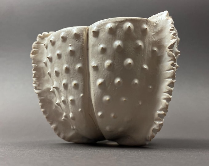 Organic Handmade Ceramic Planter with Drainage — Handcrafted Ivory Clay Pot with Sculptural Seaform Texture