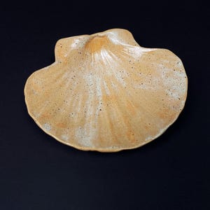 Puede incluir: Un plato de cerámica con forma de concha marina con un esmalte moteado, beige y crema. El plato tiene una superficie texturizada y un centro elevado, perfecto para servir aperitivos o exhibir objetos pequeños. El fondo es negro liso.