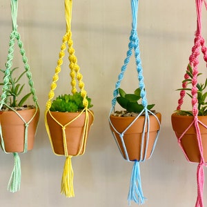 May include: Four macrame plant hangers with terracotta pots and small plants. The hangers are in different colors: light blue, yellow, green, and pink.