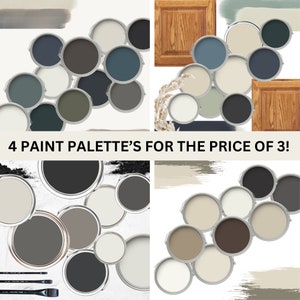 Benjamin Moore Paint Color Palette Honey Oak Whole House Warm Neutral Paint Scheme Moody Farmhouse Modern Mountain Paint Color Dark Academia