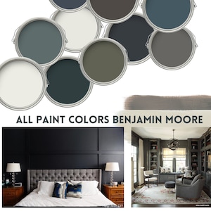 Benjamin Moore Dark Academia Color Palette Kitchen Cabinet Door Color ...