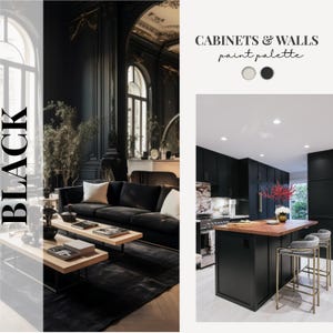 May include: An interior design image showcasing a black paint palette for cabinets and walls. The image features a living room with a black sofa and a kitchen with black cabinets and a wooden island. The text "BLACK" is displayed vertically.