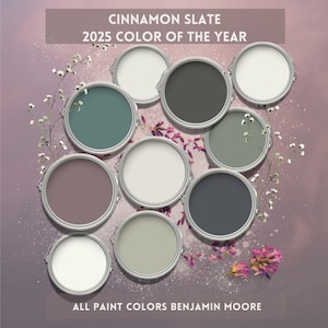 CINNAMON SLATE Color Of The Year 2025 Benjamin Moore Whole Home Paint Palette Earthy House Reno Paint Scheme Modern Interior Trends 2025