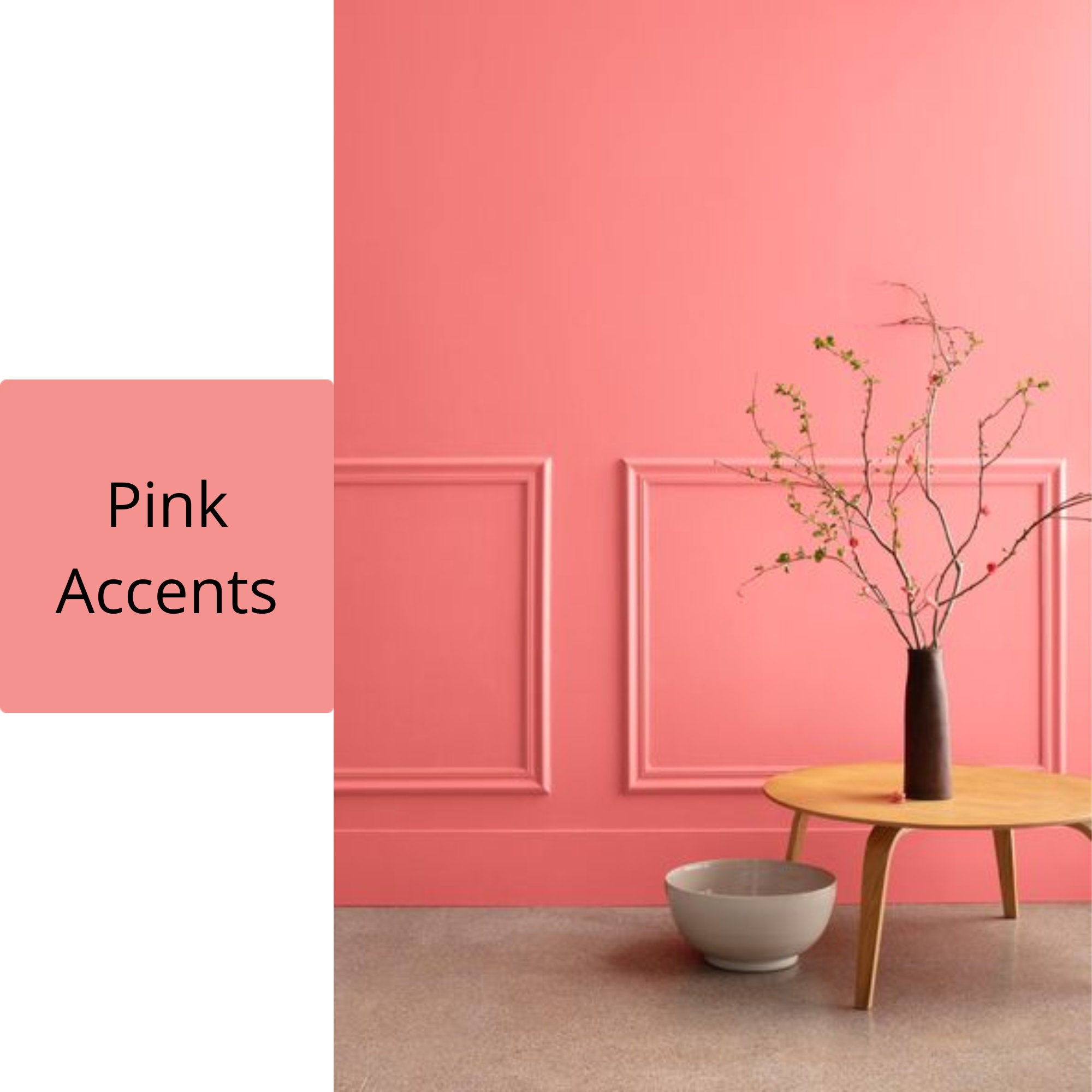 Benjamin Moore Color Palette Whole House Paint Palette Color Etsy