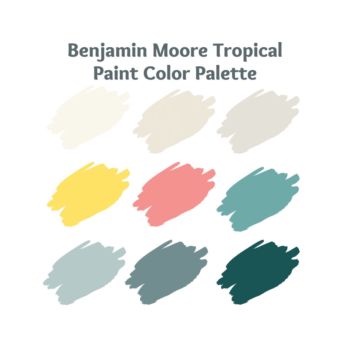 Benjamin Moore Color Palette Whole House Paint Palette Color Etsy