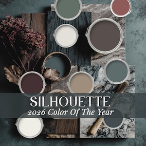 Puede incluir: Una variedad de botes de pintura en varios colores, incluyendo verde, blanco, marrón y gris, dispuestos sobre una superficie con texturas de madera y piedra. Se muestra el texto "SILHOUETTE 2026 Color Of The Year".