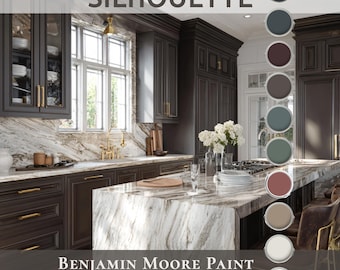 Peut inclure: Une cuisine avec des armoires brun foncé, un comptoir en marbre et des éléments dorés. Le texte "SILHOUETTE" est en haut et "BENJAMIN MOORE PAINT COLOR OF THE YEAR 2026" en bas. Des échantillons de couleurs de peinture sont affichés à droite.