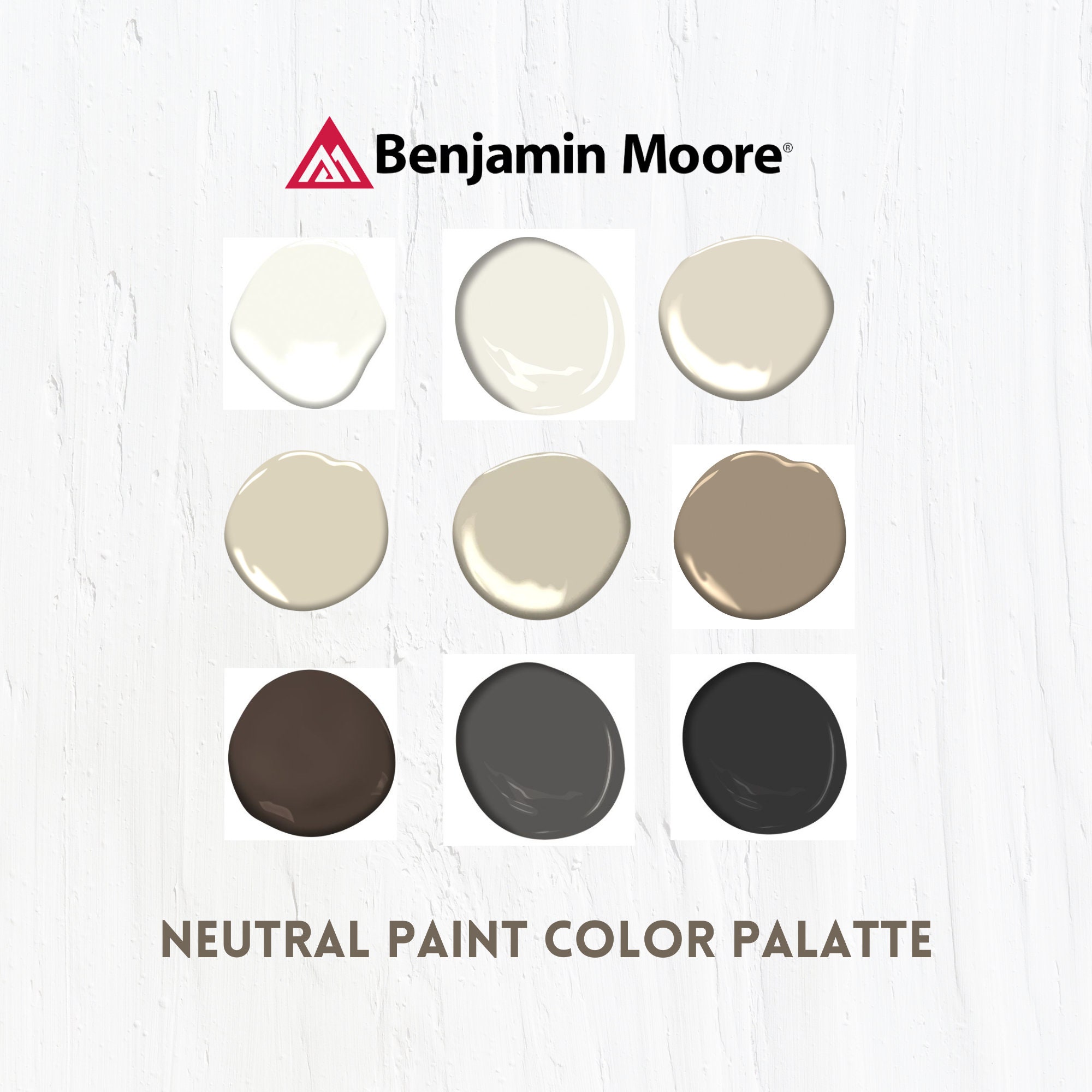 Warm Neutral Benjamin Moore Paint Palette Interior Paint Color Scheme