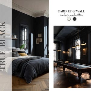 May include: A color palette guide titled CABINET & WALL featuring a true black and white scheme. The image displays a bedroom with dark walls and a bed, alongside a room with black paneled walls, a pool table, and hanging pendant lights.